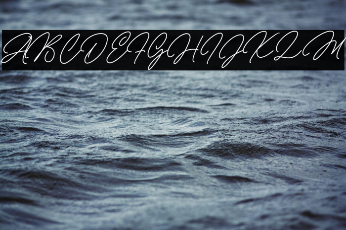 Michellina خط examples