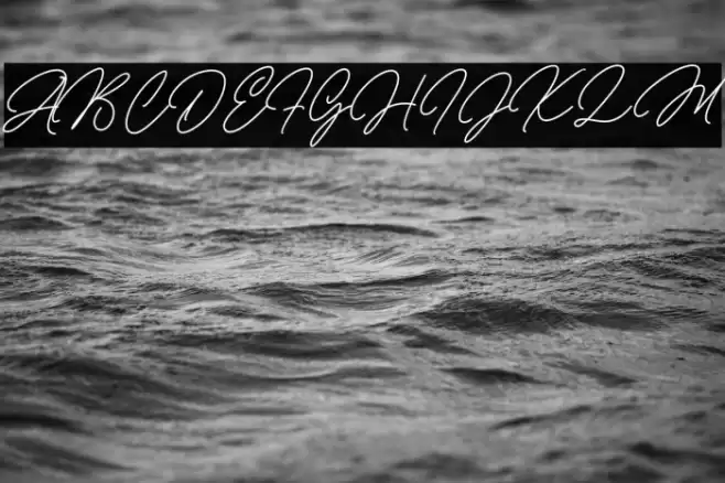 Michellina Font examples