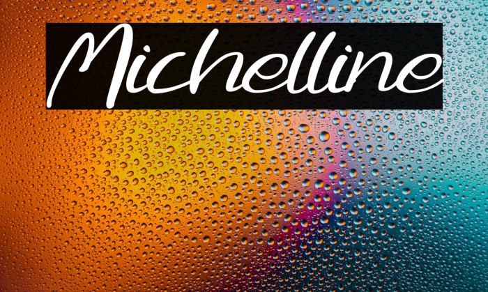 Michelline Example 1