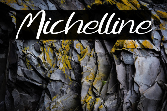 Michelline Example 3