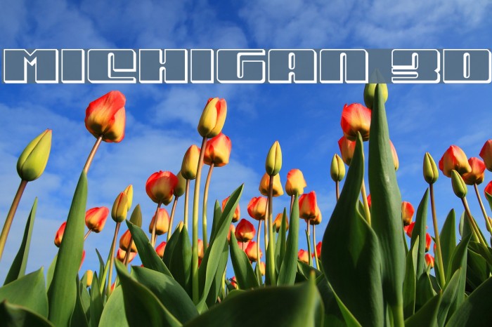 Michigan 3D Font examples