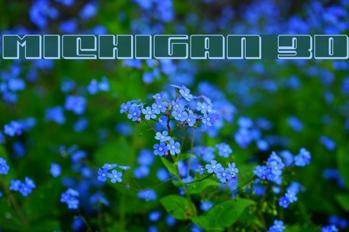 Michigan 3D Font examples