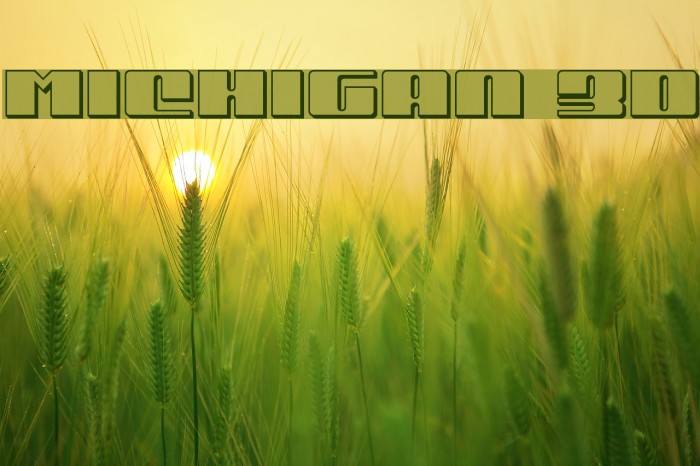 Michigan 3D Font examples