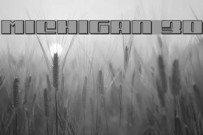 Michigan 3D Example 3