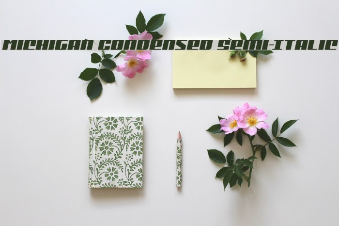 Michigan Condensed Semi-Italic Example 1