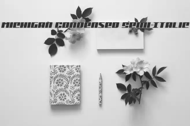 Michigan Condensed Semi-Italic Font examples