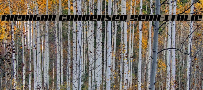 Michigan Condensed Semi-Italic Example 2