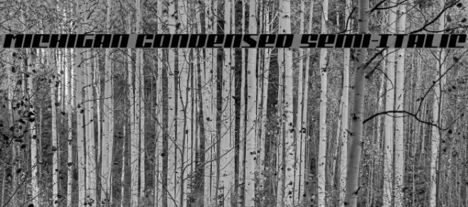 Michigan Condensed Semi-Italic Font examples