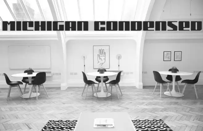 Michigan Condensed Example 3
