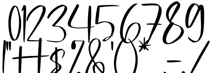 Michigan Custom Font OTHER CHARS