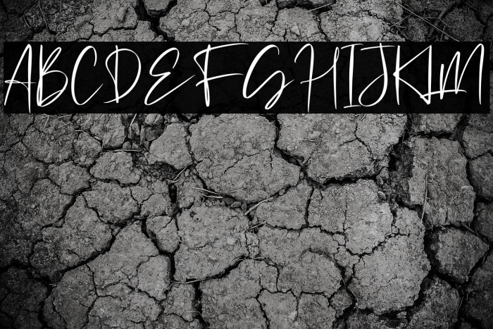 Michigan Custom Example 1