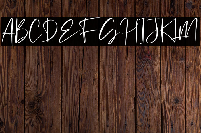 Michigan Custom Example 2