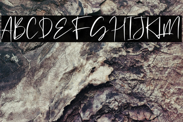 Michigan Custom Example 3