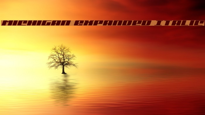 Michigan Expanded Italic Example 3