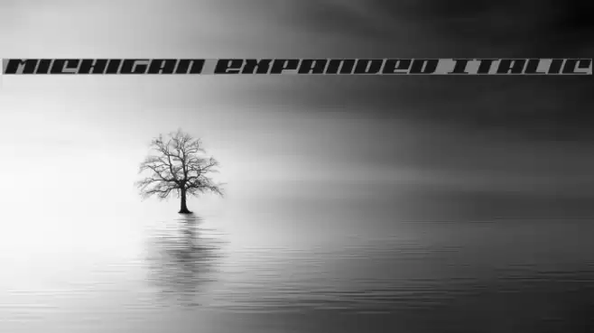 Michigan Expanded Italic Font examples