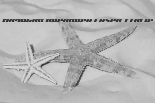 Michigan Expanded Laser Italic Font examples