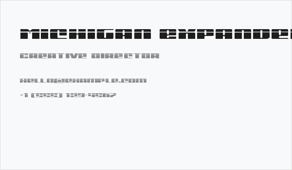 Michigan Expanded Laser Business Card