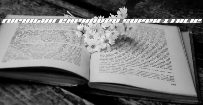 Michigan Expanded Super-Italic Font examples