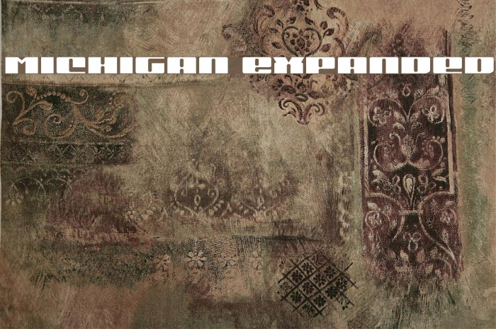 Michigan Expanded Example 2