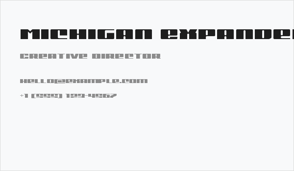Michigan Expanded Business Card