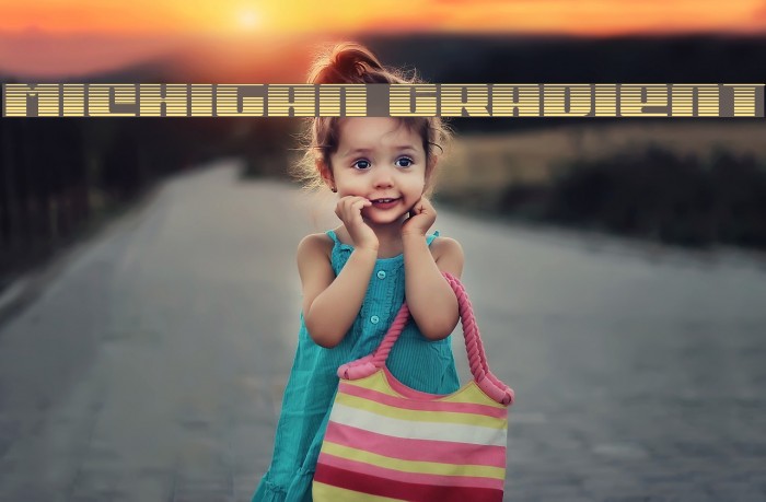 Michigan Gradient Example 2