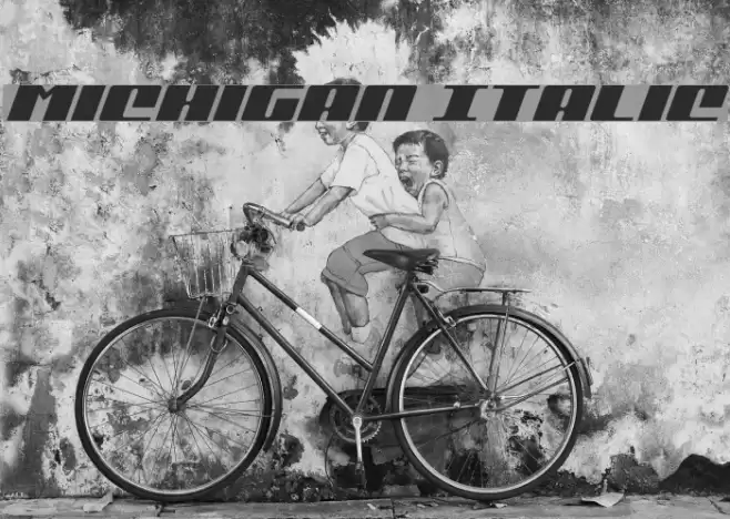 Michigan Italic Font examples