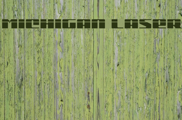 Michigan Laser Example 3