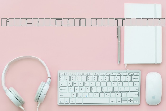 Michigan Outline Example 2