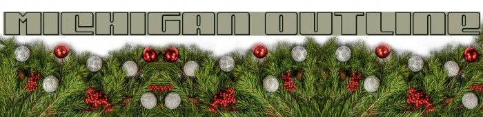 Michigan Outline Example 3