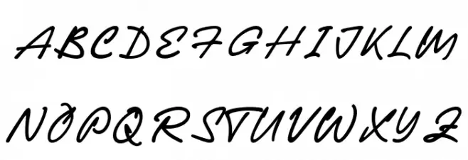 Michigan Signature Regular 字体 大写