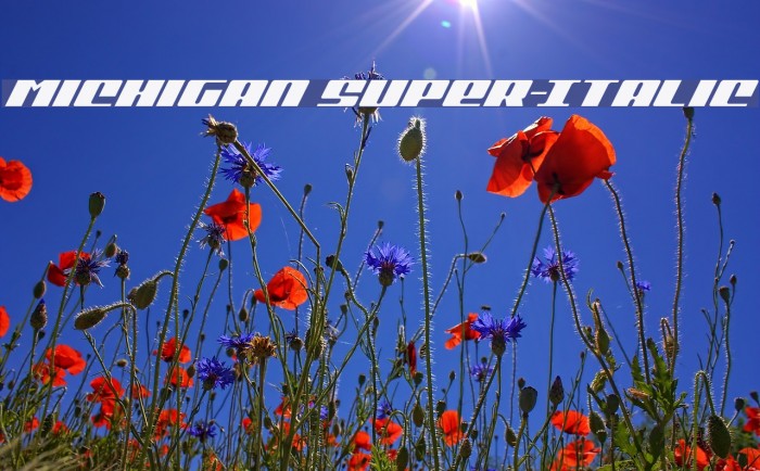 Michigan Super-Italic Example 3