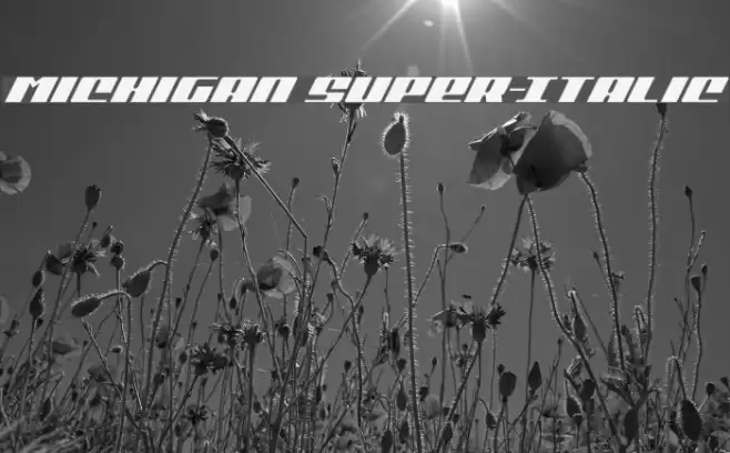 Michigan Super-Italic Font examples