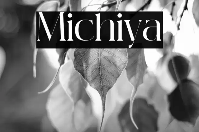 Michiya Font examples
