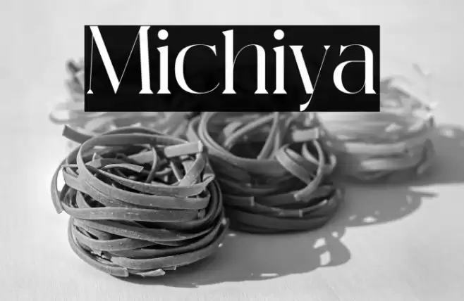 Michiya Font examples