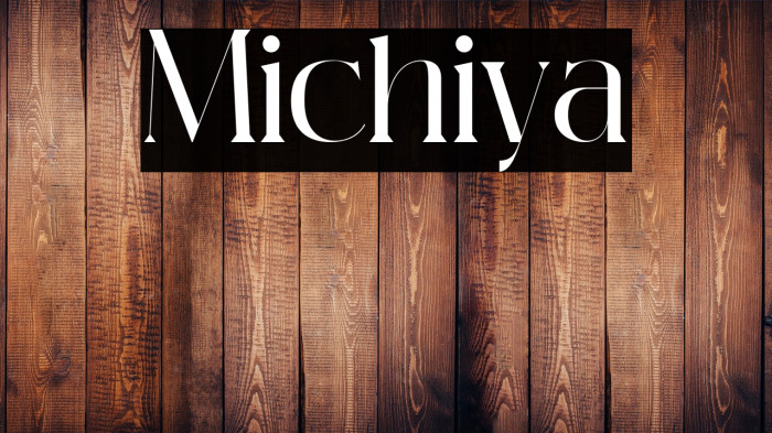Michiya Example 3
