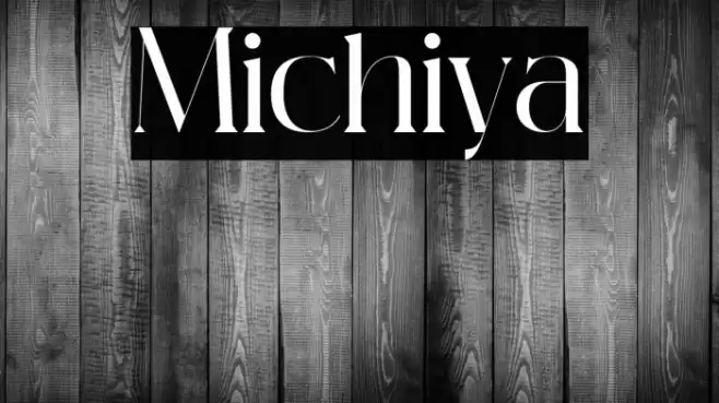 Michiya Font examples