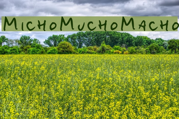 MichoMuchoMacho Font examples
