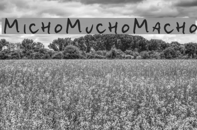 MichoMuchoMacho フォント examples