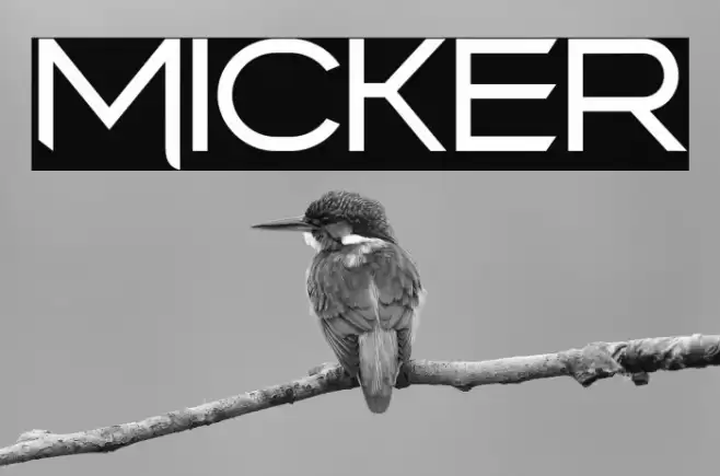 Micker フォント examples