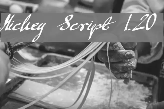 Mickey Script 1.20 Example 1