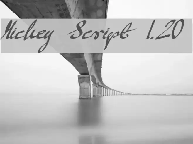 Mickey Script 1.20 Example 2
