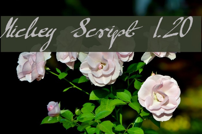 Mickey Script 1.20 Font examples
