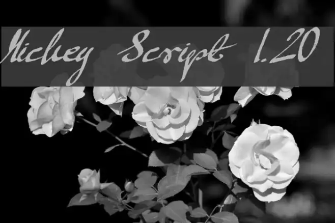 Mickey Script 1.20 Example 3