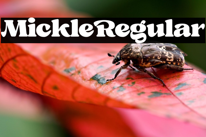 Mickle Regular Example 1