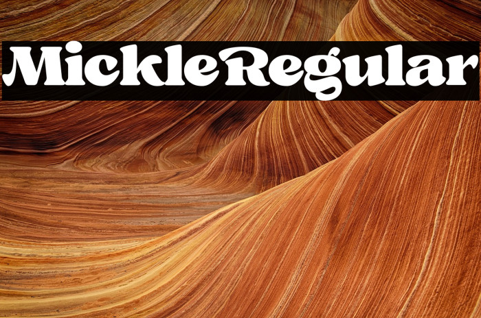 Mickle Regular Example 3