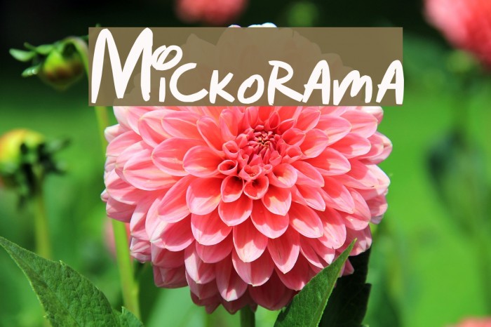 Mickorama Font examples