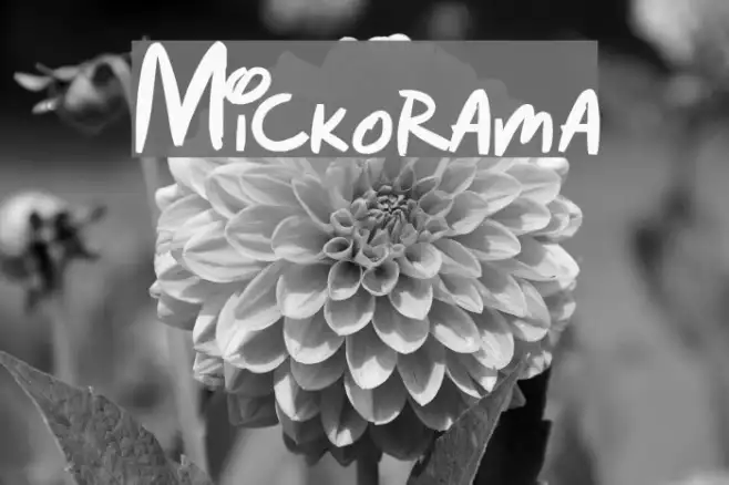 Mickorama Example 2