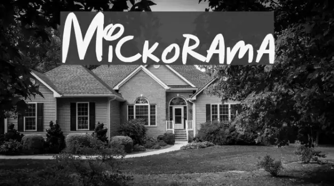 Mickorama Example 3