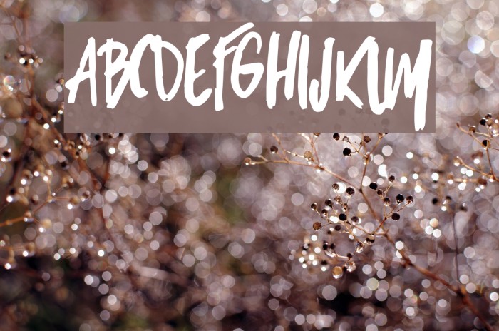 Micks-Regular Font examples