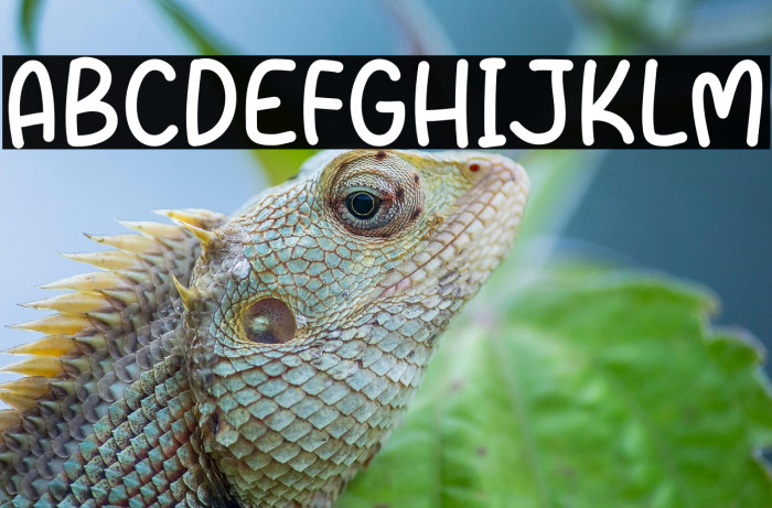 Micky Bros Example 1